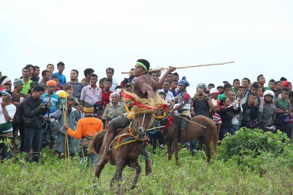 12 1024x682 - INDONEZJA: Sulawesi – Bali – Sumba: wyprawa na Festiwal Pasola
