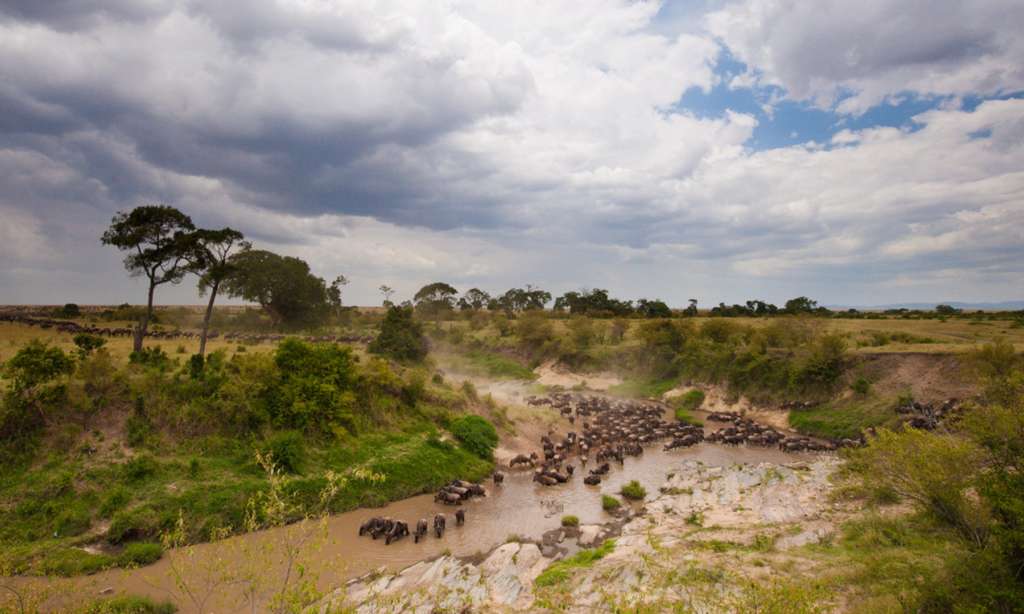 9. 1 1024x614 - KENIA: Wielka migracja zwierząt przez rzekę Mara - wyprawa