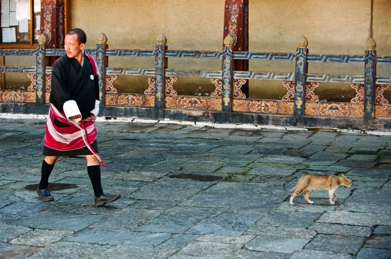 but00180007 - BHUTAN – BANGLADESZ: wyprawa na Festiwal Thimphu Tsechu