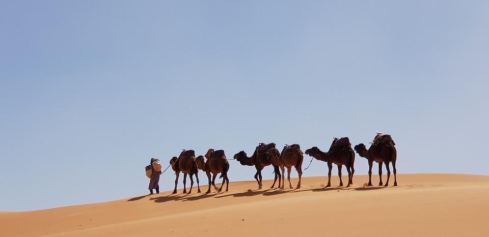wycieczka do Maroka