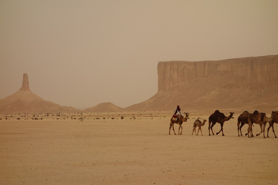 camel train 3408458 960 720 - ARABIA SAUDYJSKA