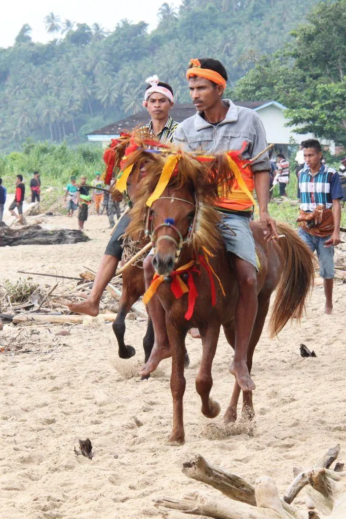 31 683x1024 - INDONEZJA: Sulawesi – Bali – Sumba: wyprawa na Festiwal Pasola