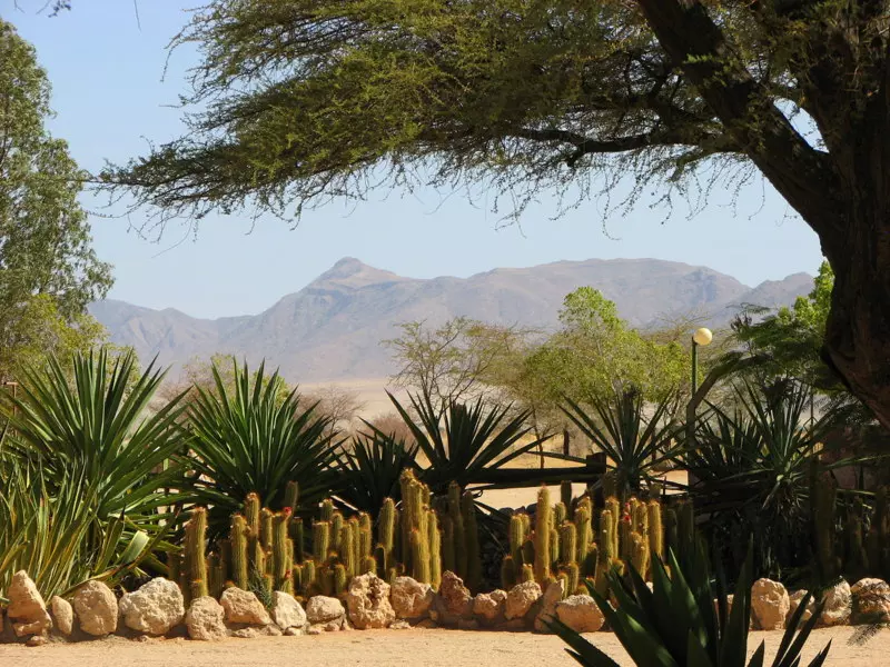 1.W drodze do Sesriem - NAMIBIA: wyprawa do krainy kontrastów i niepowtarzalnych krajobrazów