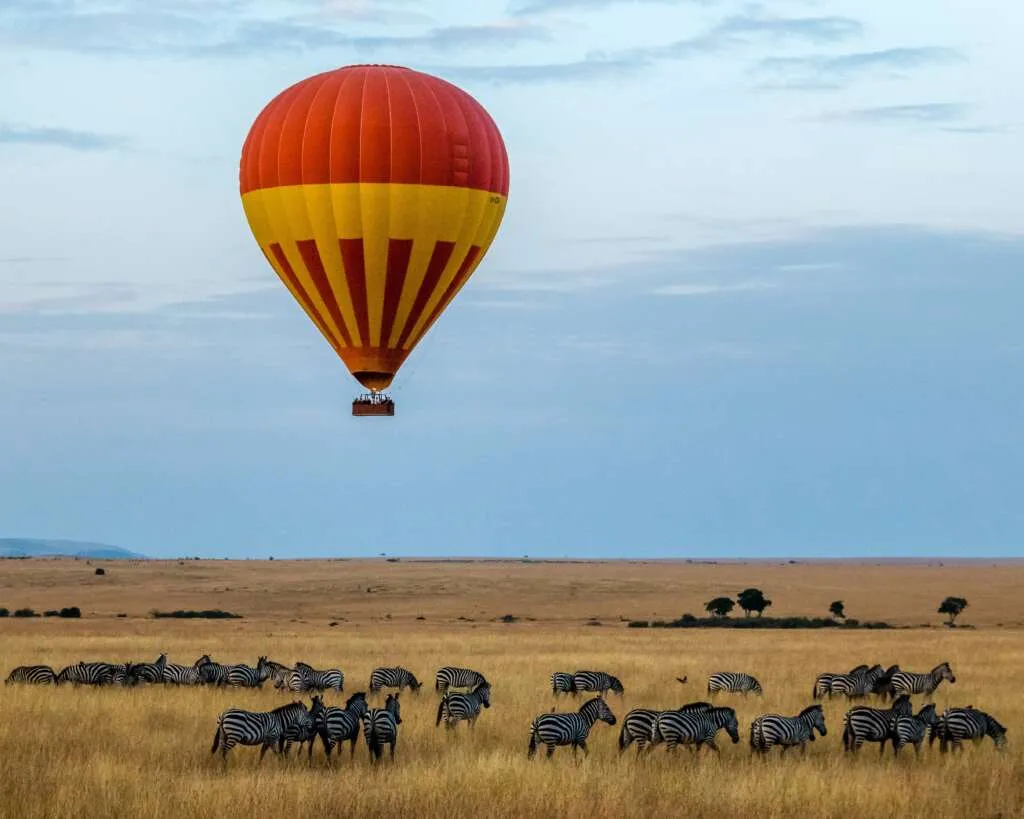 sutirta budiman kjOBqwMUnWw unsplash 1024x819 - KENIA: Masai Mara, Jezioro Naivasha i Rezerwat szympansów w Ol Pejeta